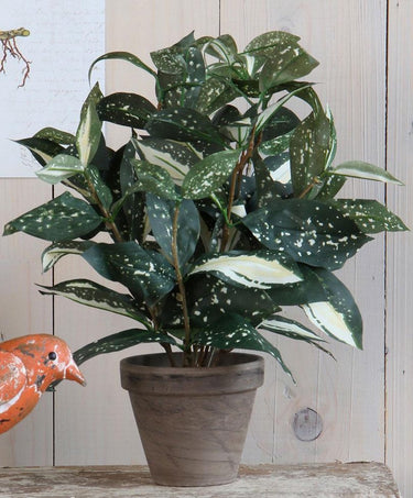 Mica decorations cordyline kunstplant - groen - h33 cm x d25 cm - grijze sierpot - kamerplant - kunstplanten nepplanten