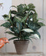 Mica decorations cordyline kunstplant - groen - h33 cm x d25 cm - grijze sierpot - kamerplant - kunstplanten nepplanten