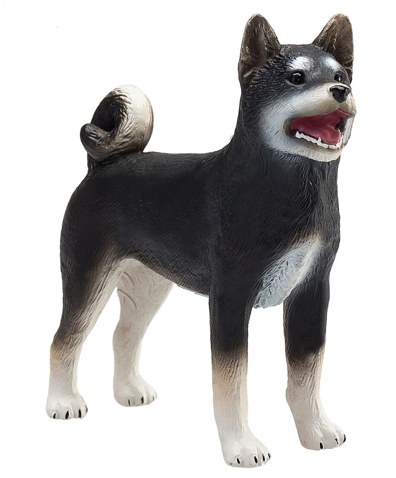 Load image into Gallery viewer, Mojo farmland shiba inu zwart - 387363
