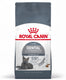 Royal canin dental care - 400 g - kattenvoer