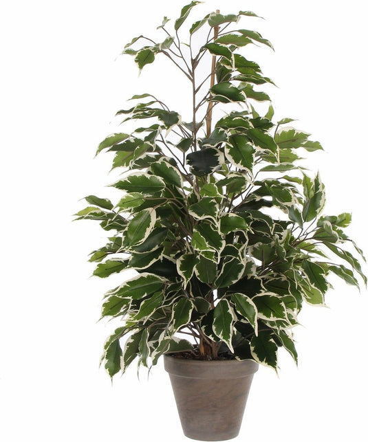 Mica decorations kunstplant ficus - groen wit - 65 cm - binnen - kunstplanten nepplanten binnenplanten