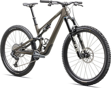 Specialized stumpjumper 15 expert carbon mountain bike