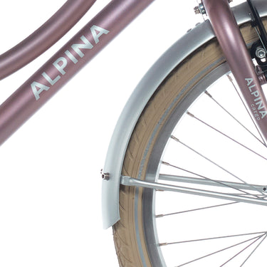 Alpina spatbord set + stang 22 cargo silver matt
