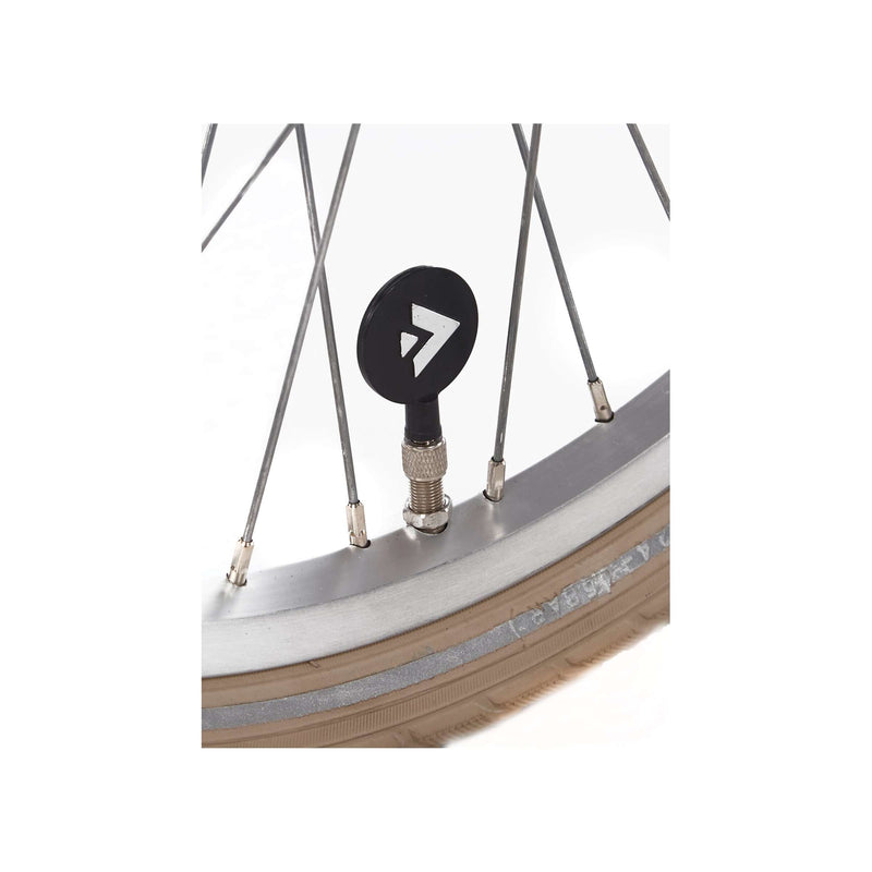 Load image into Gallery viewer, Alpina Cargo M20 Wood Rose Matt
