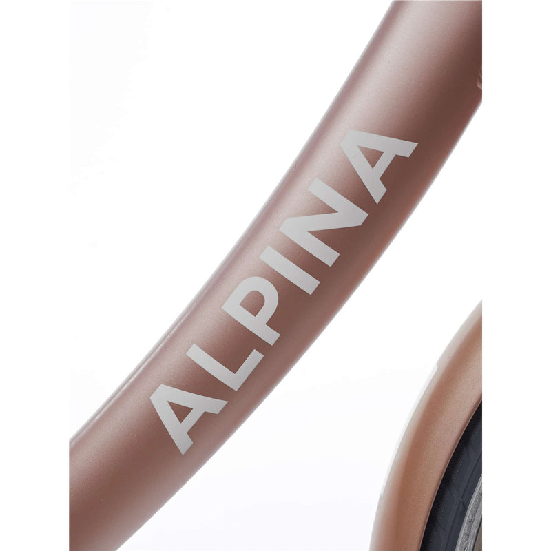 Load image into Gallery viewer, Alpina Clubb M20 Rose Goud
