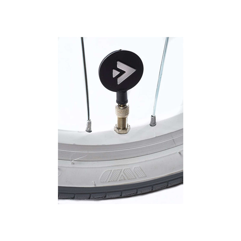 Load image into Gallery viewer, Alpina Ocean M18 Misty Roze
