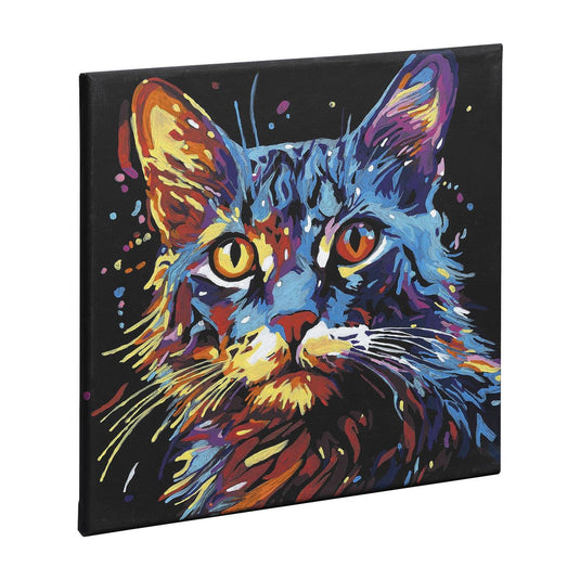 Nassau schilderen op nummer zwart canvas kat, 30x30cm