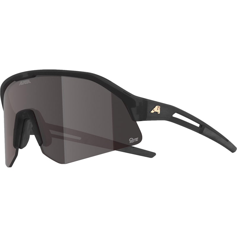 Load image into Gallery viewer, Olympic sportswear alpina sports sportbril sonic hr m q-lite glans grijs
