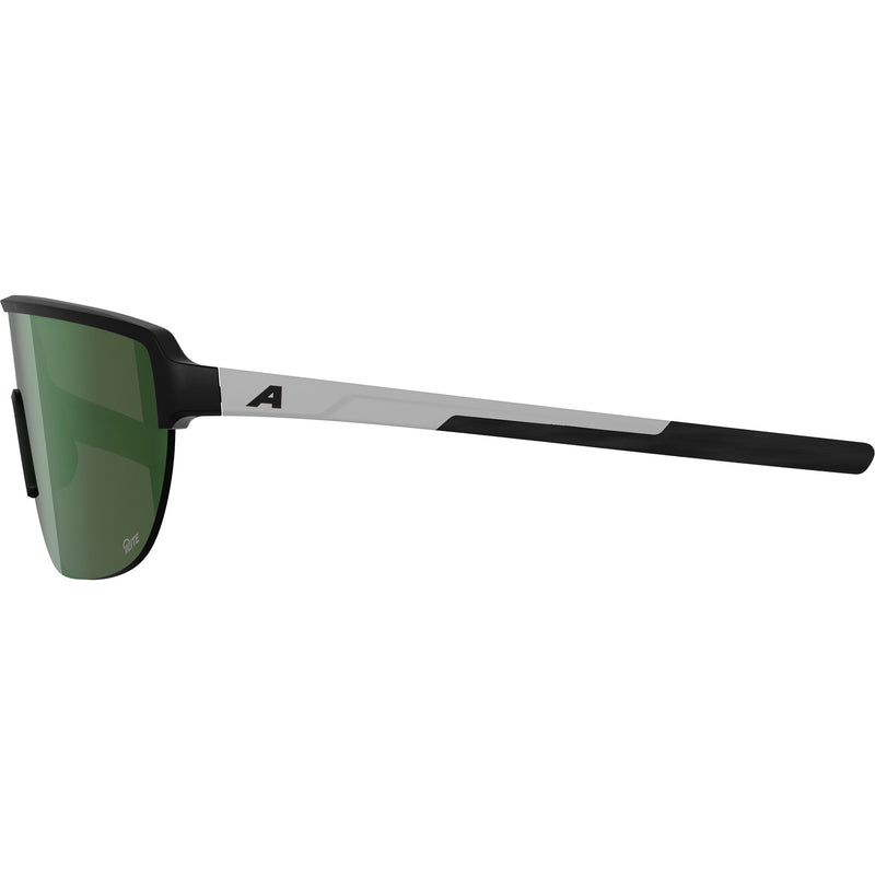 Load image into Gallery viewer, Alpina sports sportbril ram 2.0 q-lite mat zwart wit
