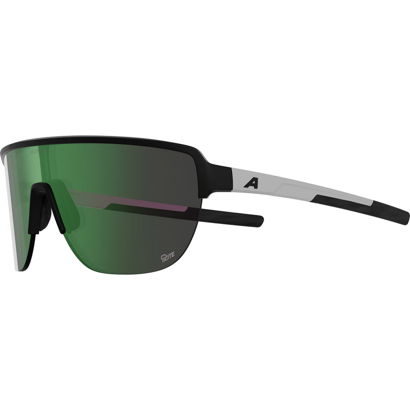 Load image into Gallery viewer, Alpina sports sportbril ram 2.0 q-lite mat zwart wit

