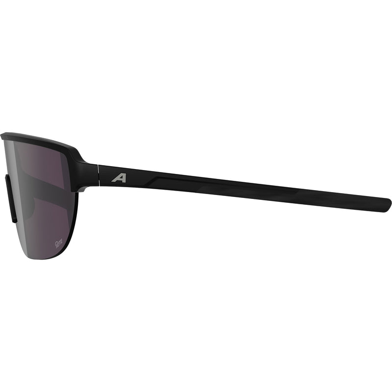Load image into Gallery viewer, Alpina sports sportbril ram 2.0 q-lite zilv. sp. mat zwart
