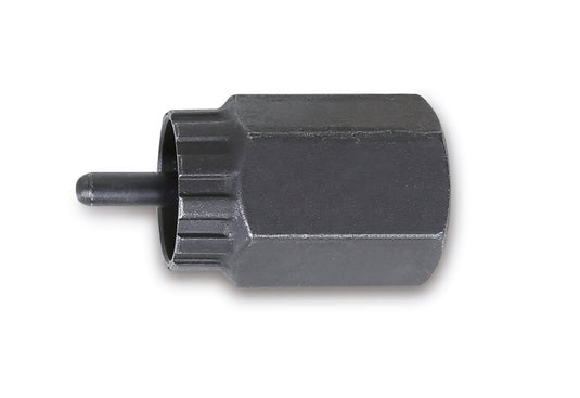 Beta, beta beta freewheel afnemer campagnolo