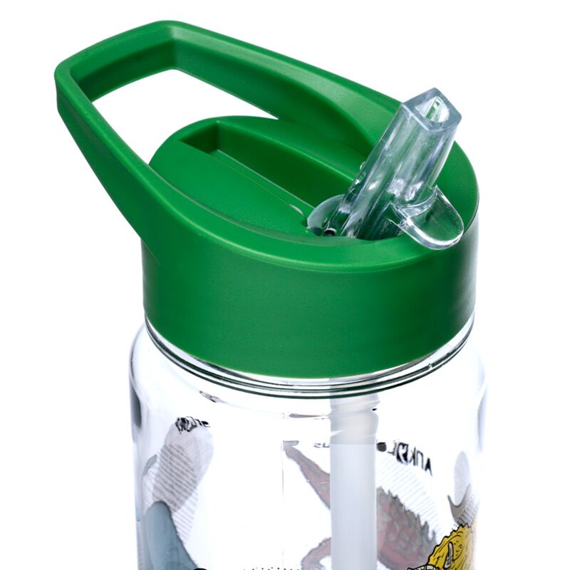 Load image into Gallery viewer, Dinosauria ecozen waterfles 550ml flip straw
