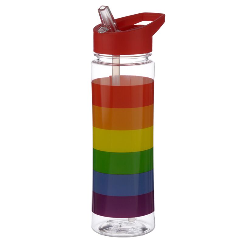 Load image into Gallery viewer, Somewere regenboog duurzame 550ml waterfles flip straw
