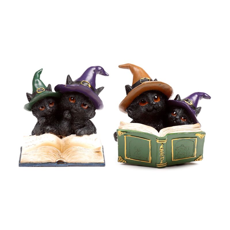 Load image into Gallery viewer, Heksen zwarte kat magical spell book
