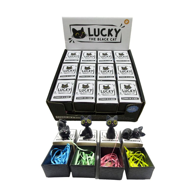 Load image into Gallery viewer, Lucky de zwarte kat charm in doosje
