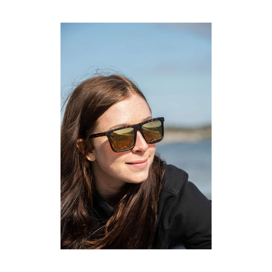 Chpo bril bruce turtle brown brown