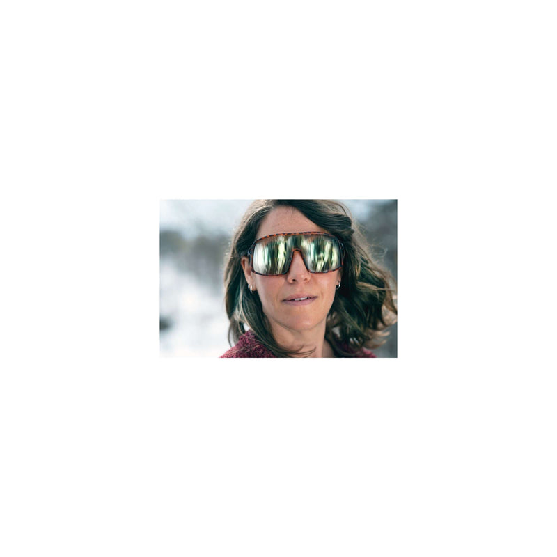 Load image into Gallery viewer, Chpo bril erica turtle brown brown
