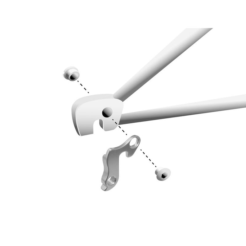 Load image into Gallery viewer, Union derailleurpad GH-011 met schroefset M8x0.75
