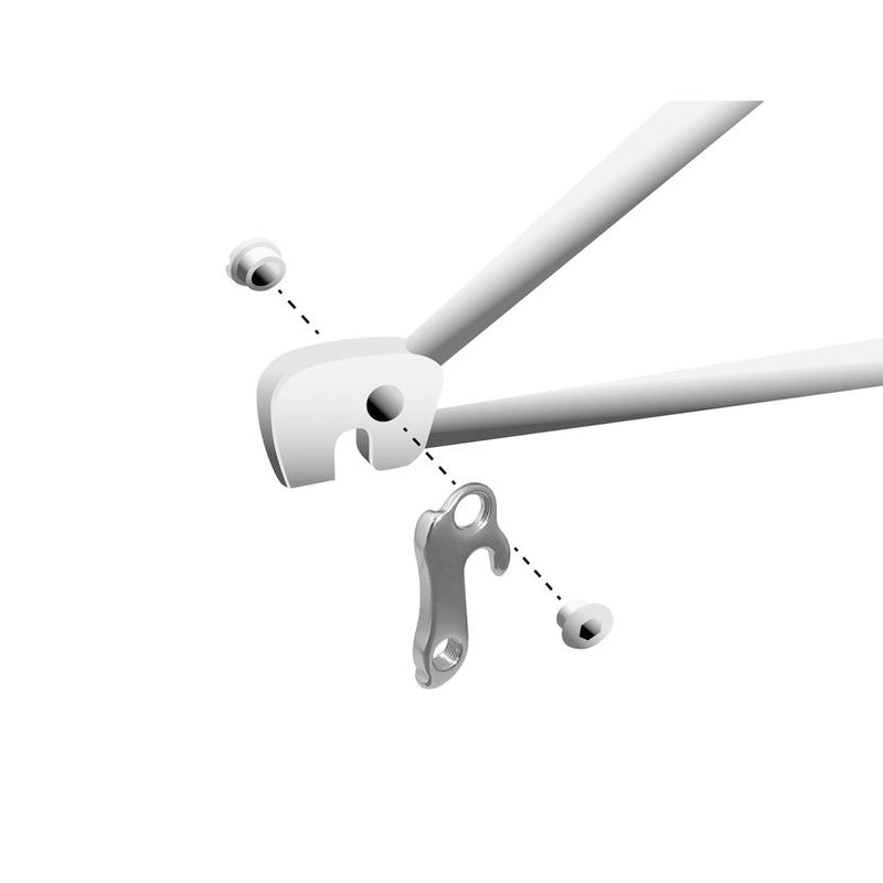 Load image into Gallery viewer, Union derailleurpad GH-036 met schroefset M8x0.75
