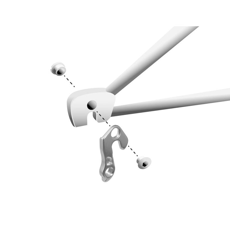 Load image into Gallery viewer, Union derailleurpad GH-078 met schroefset M8x0.75
