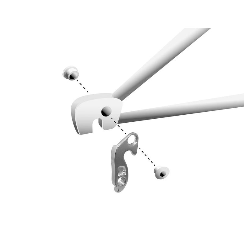 Load image into Gallery viewer, Union derailleurpad GH-084 met schroefset M8x0.75
