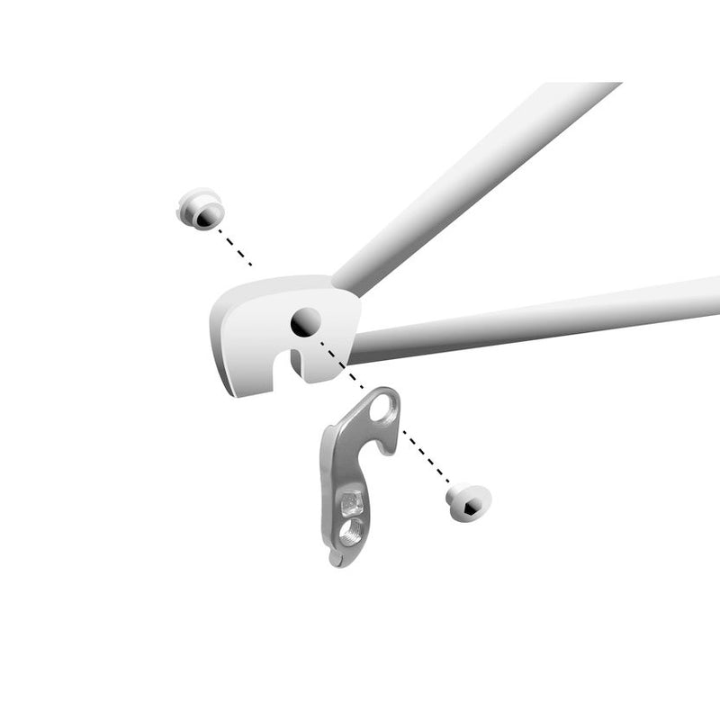 Load image into Gallery viewer, Union derailleurpad GH-089 met schroefset M8x0.75
