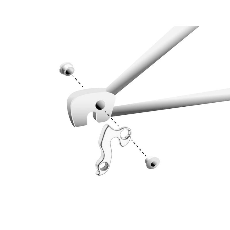 Load image into Gallery viewer, Union derailleurpad GH-117 met schroefset M8x0.75
