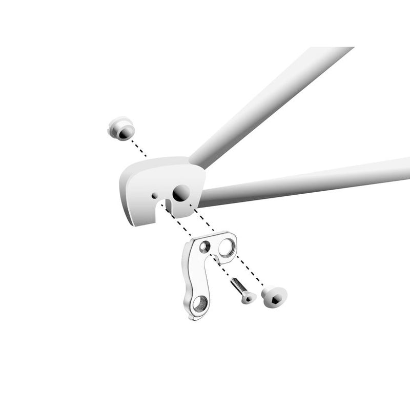 Load image into Gallery viewer, Union derailleurpad GH-127 met schroefset M8x0.75 +M4x0.7
