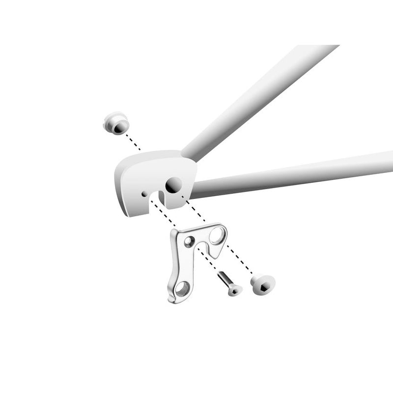 Load image into Gallery viewer, Union derailleurpad GH-128 met schroefset M8x0.75 +M4x0.7
