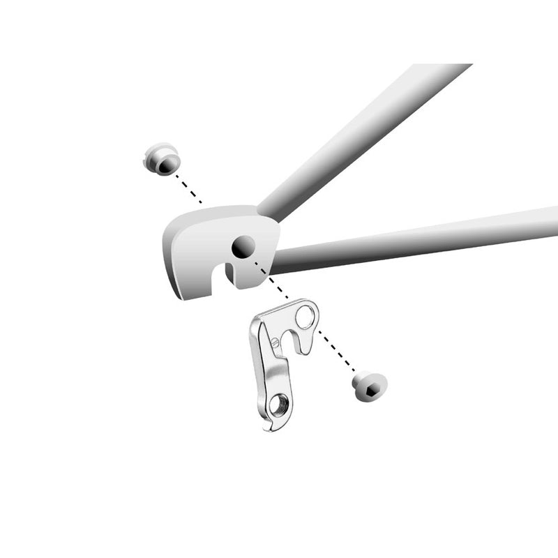 Load image into Gallery viewer, Union derailleurpad GH-134 met schroefset M8x0.75
