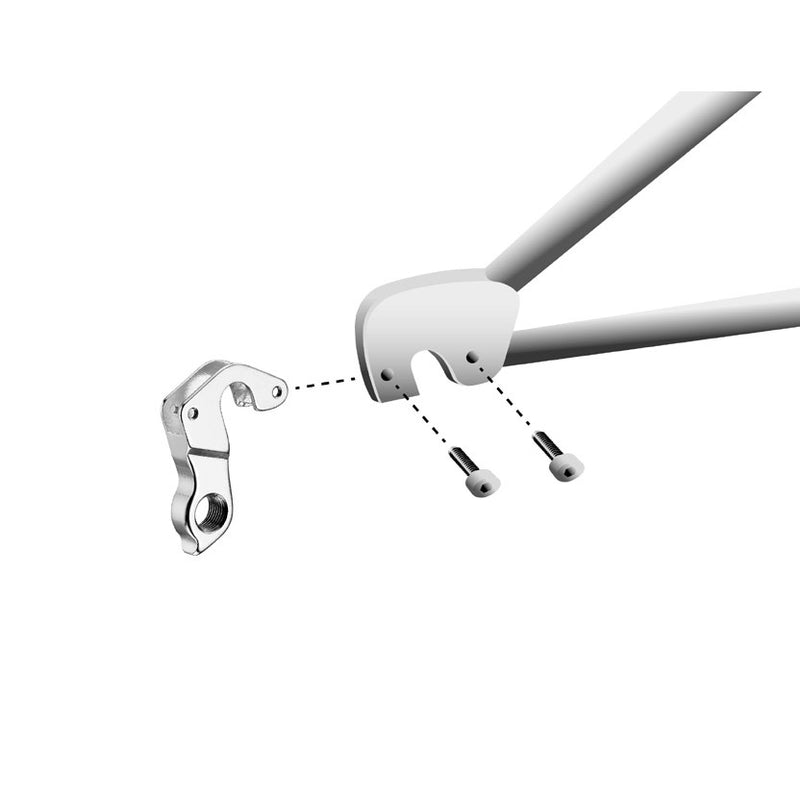 Load image into Gallery viewer, Union derailleurpad GH-148 met schroefset M3x1.0
