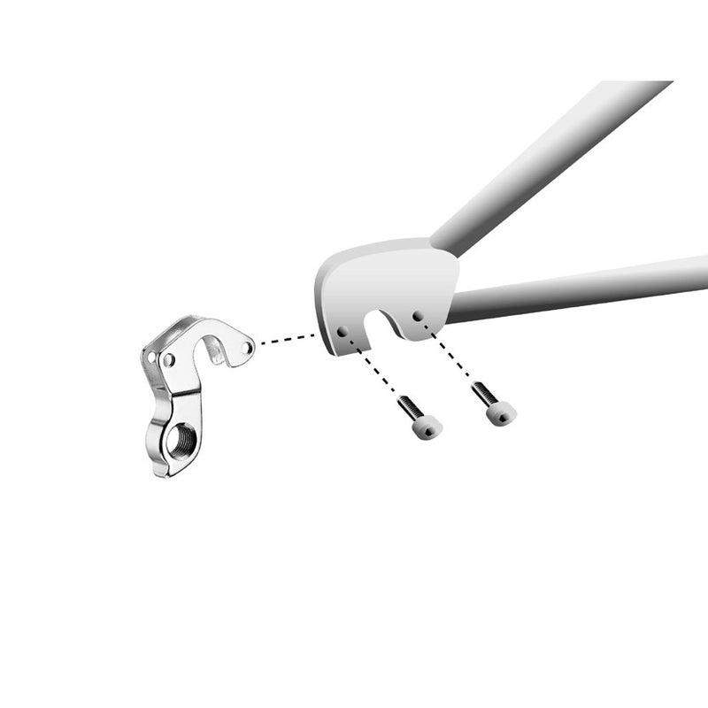 Load image into Gallery viewer, Union derailleurpad GH-150 met schroefset M3x1.0
