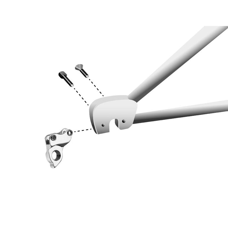 Load image into Gallery viewer, Union derailleurpad gh-160 cannondale met schroefset
