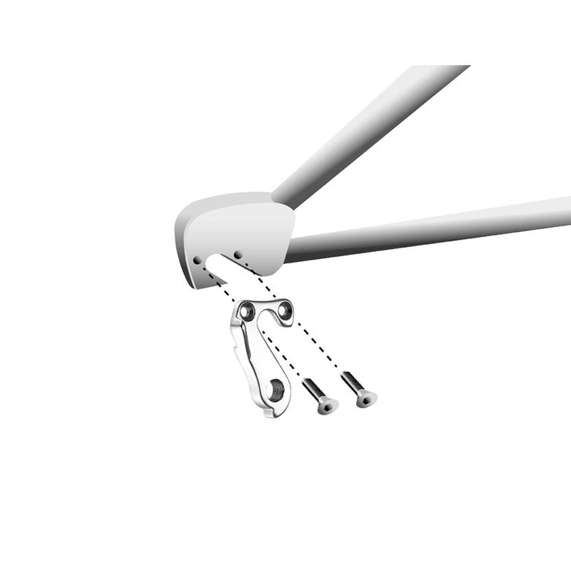 Load image into Gallery viewer, Union derailleurpad GH-162 Lapierre, Koga met schroefset
