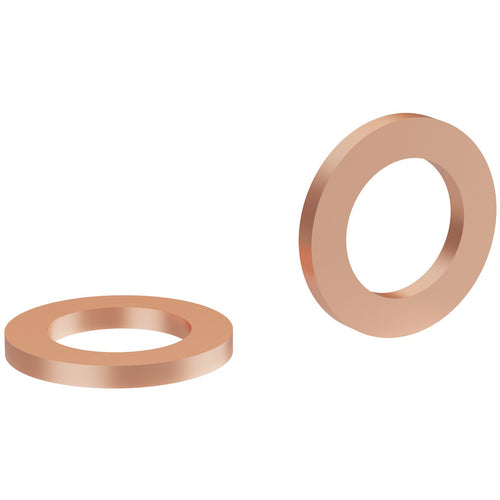 Elvedes afdichtring klein voor hope slang (10x) elv-hp04