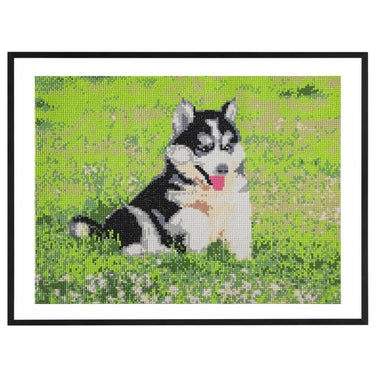 Craft id diamond painting, 40x50cm, dog