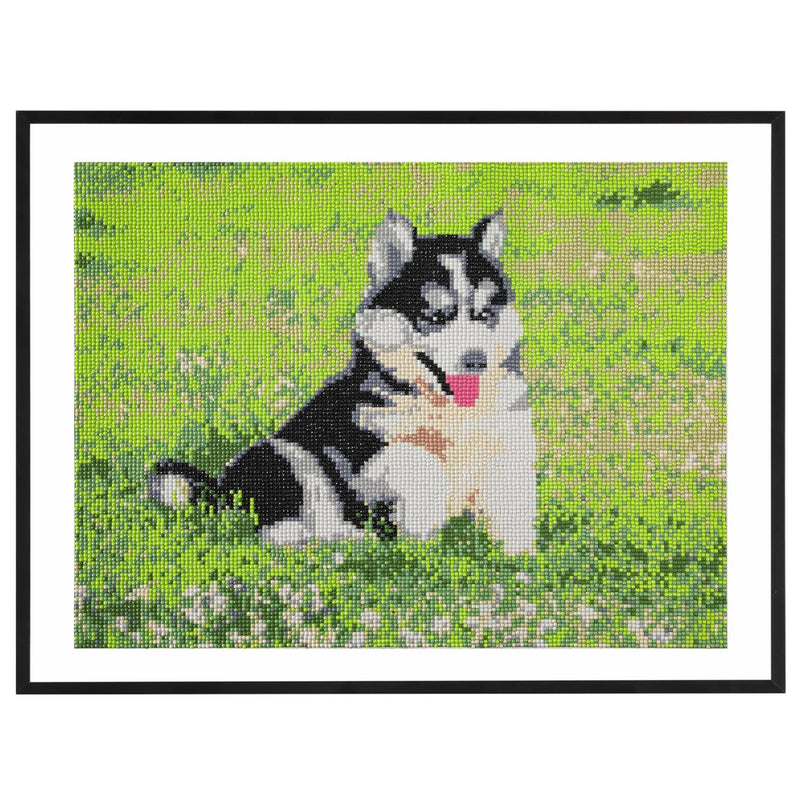 Afbeelding laden in galerijviewer, Craft id diamond painting, 40x50cm, dog
