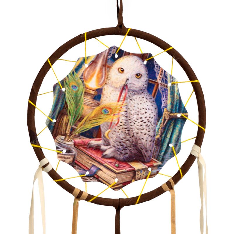 Load image into Gallery viewer, Lisa parker wachter van spreuken uil dromenvanger 16cm
