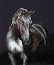 Midnight stallion diamond dotz: 53x42 cm (dd10.012)