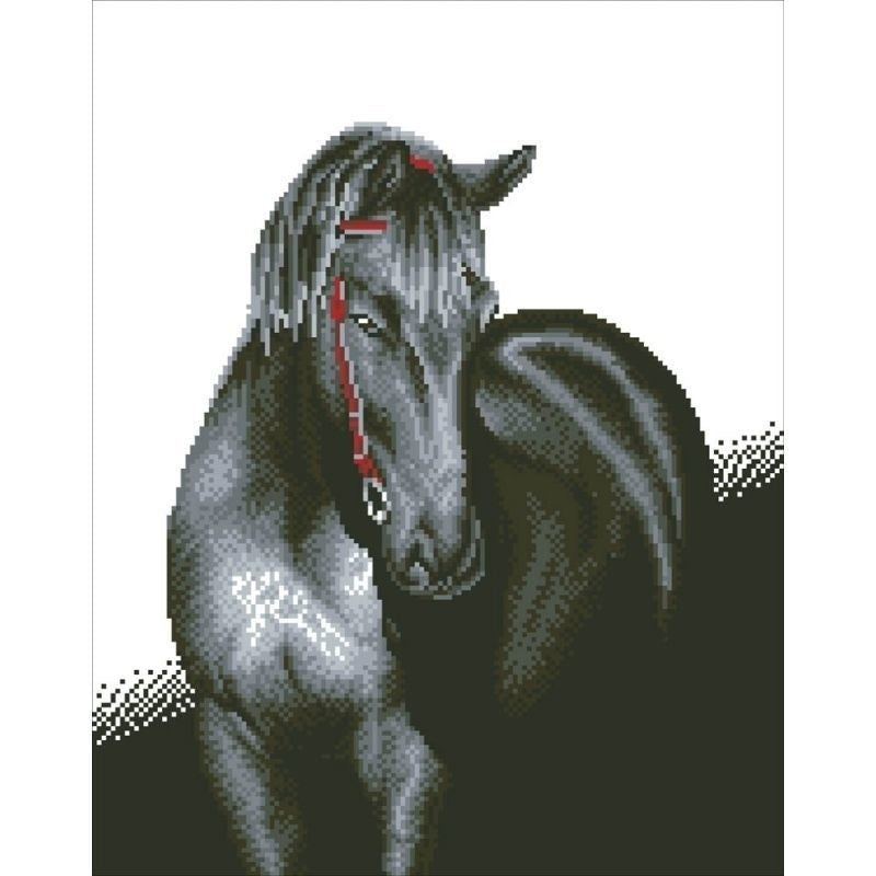 Load image into Gallery viewer, Midnight stallion diamond dotz: 53x42 cm (dd10.012)
