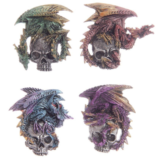 Gothic drakenschedel magneet