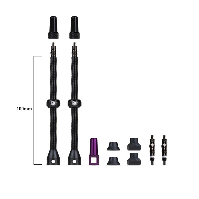Load image into Gallery viewer, Dynamic barkeeper tubeless valves 100mm - 1set

