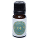 Eucalyptus - eden etherische olie 10ml