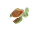 Eco nation pluchen knuffel - mini - schildpad - 13 cm