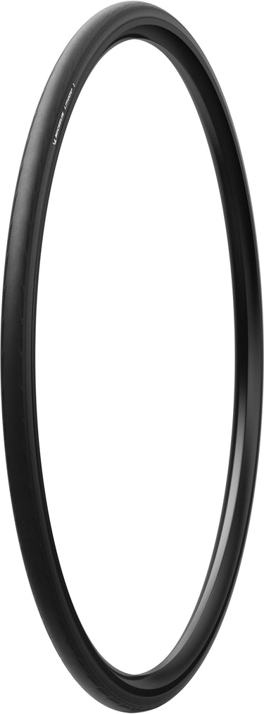 Michelin lithion 4 folding tyre