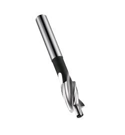 Dormer kopverzinkboor 11x6.6 m6