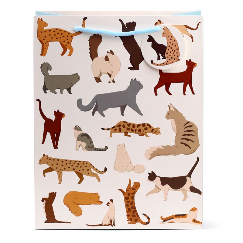 Load image into Gallery viewer, Feline fine katten - cadeautasje large
