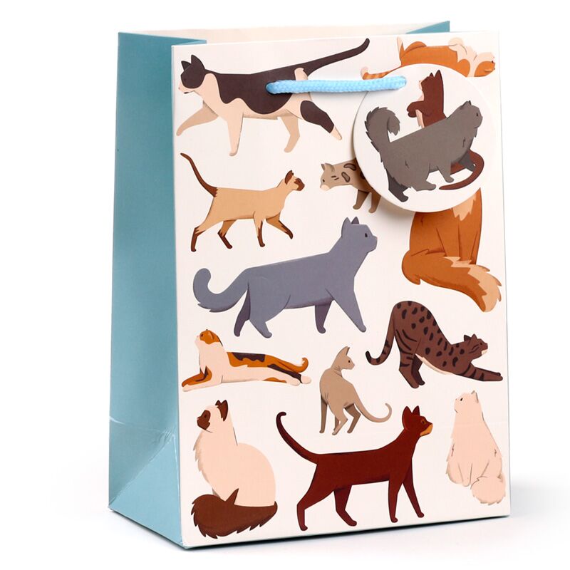 Load image into Gallery viewer, Feline fine katten - cadeautasje medium
