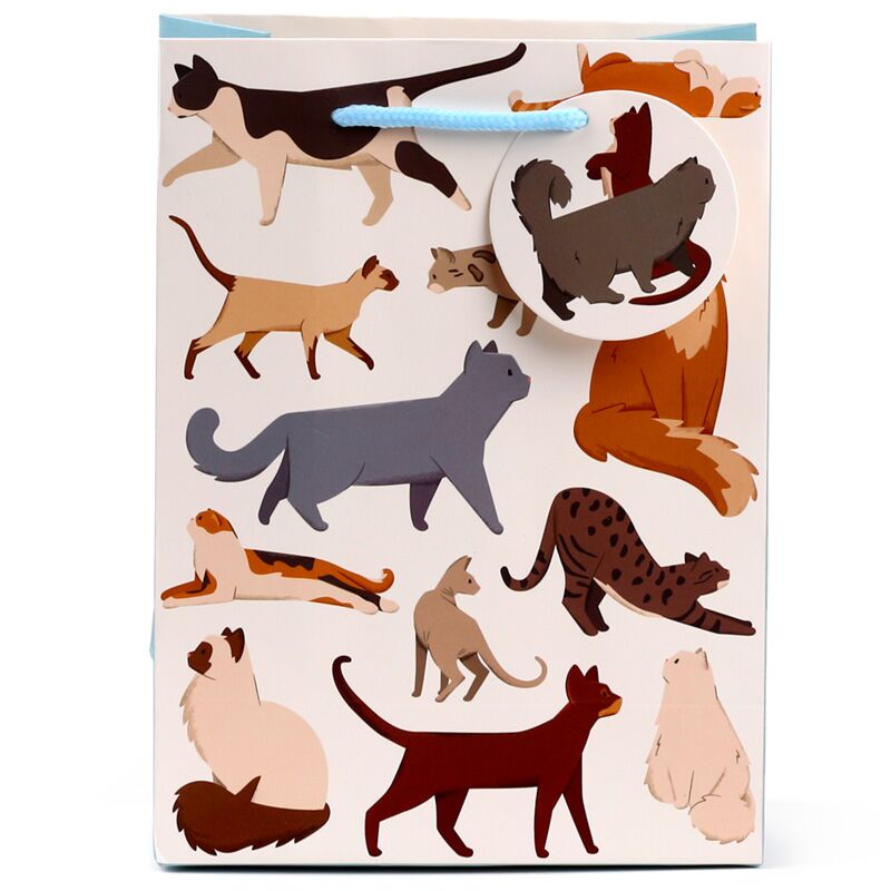 Load image into Gallery viewer, Feline fine katten - cadeautasje medium
